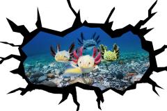 SoVA-Vinyl-Pros-custom-wraps-Wall-Graphics-3