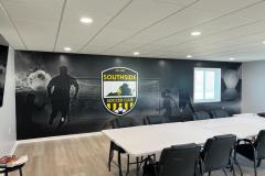 Wall-Graphics-9