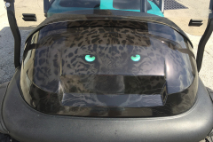 St-Augustine-vehicle-wraps-31
